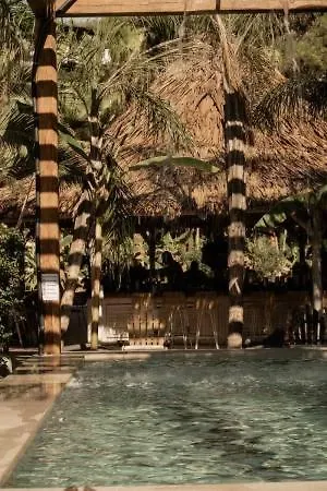 Ξενοδοχείο Kohylia By La Scala Glykadi